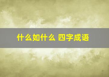 什么如什么 四字成语